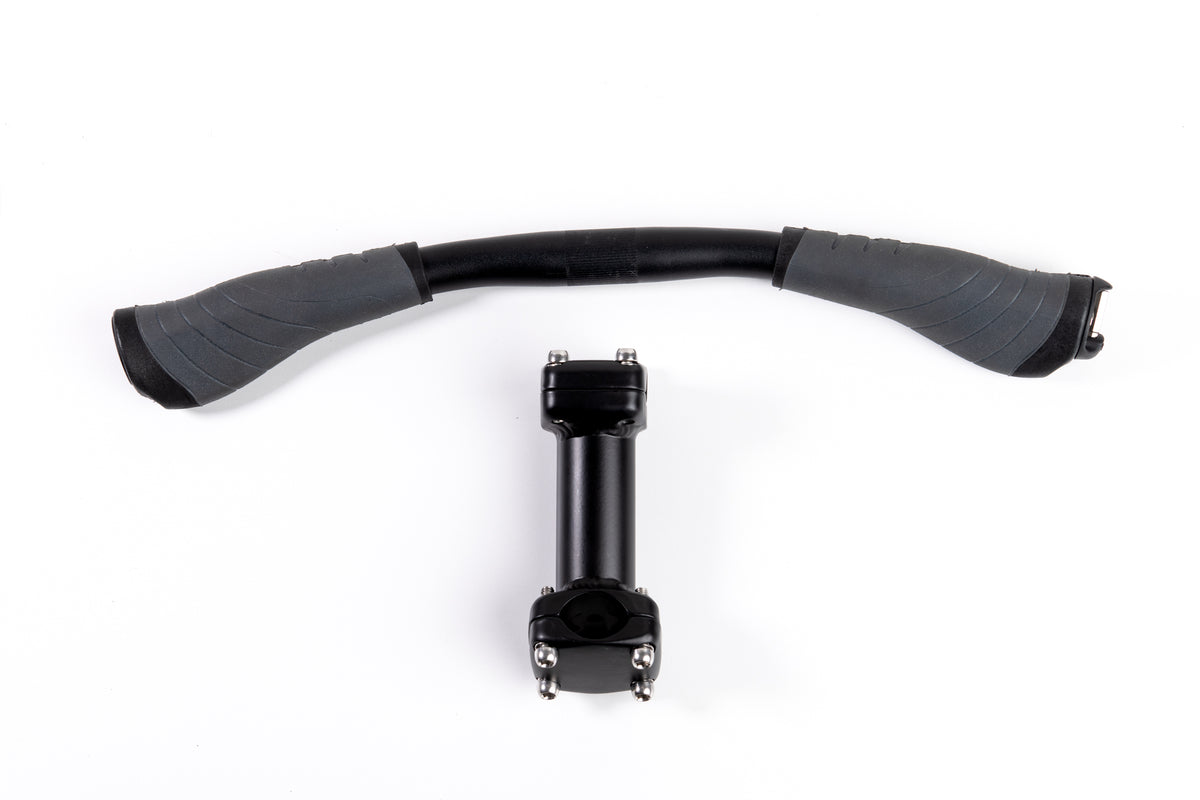 Handle for Rear Passenger